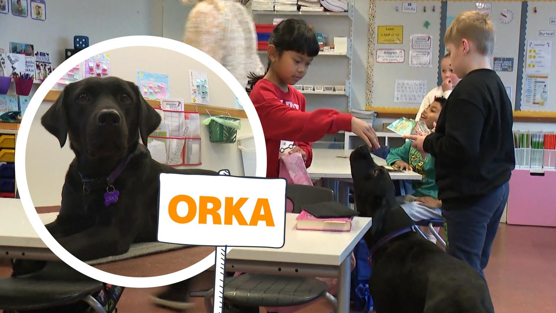 Zwei Kinder spielen in der Klasse mit einem schwarzen Hund, daneben ein Ausschnitt, der den Hund von Nahmen zeigt mit der Aufschrift Orka