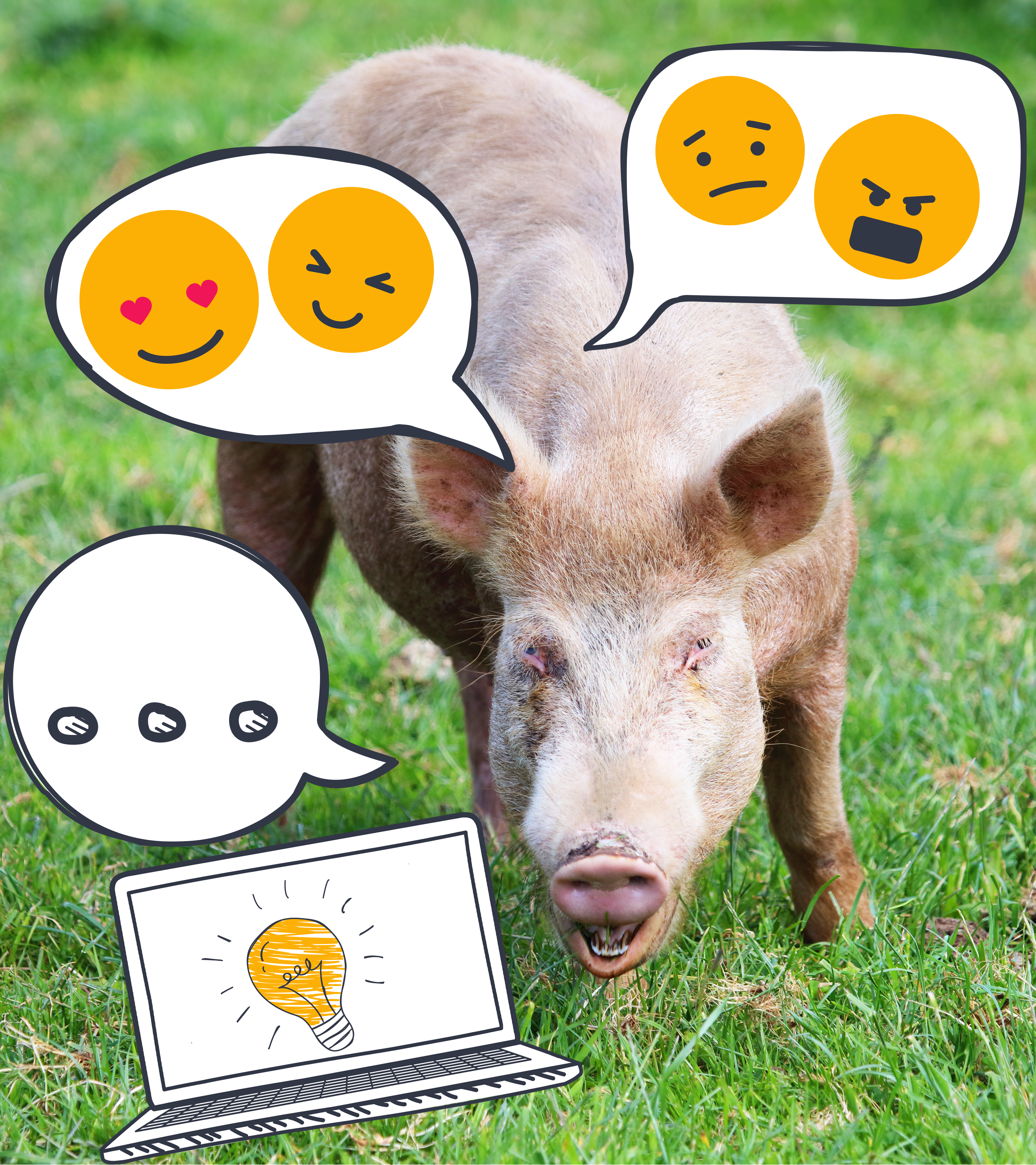 Schwein auf einer Wiese mit Sprechblasen und Emotionen. Laptop mit Glühbirne.