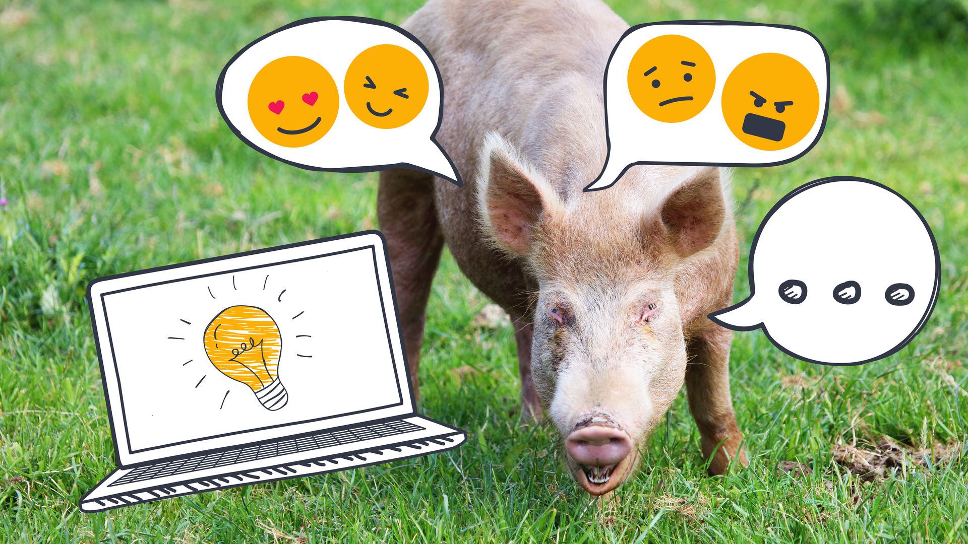 Schwein auf einer Wiese mit Sprechblasen und Emotionen. Laptop mit Glühbirne.