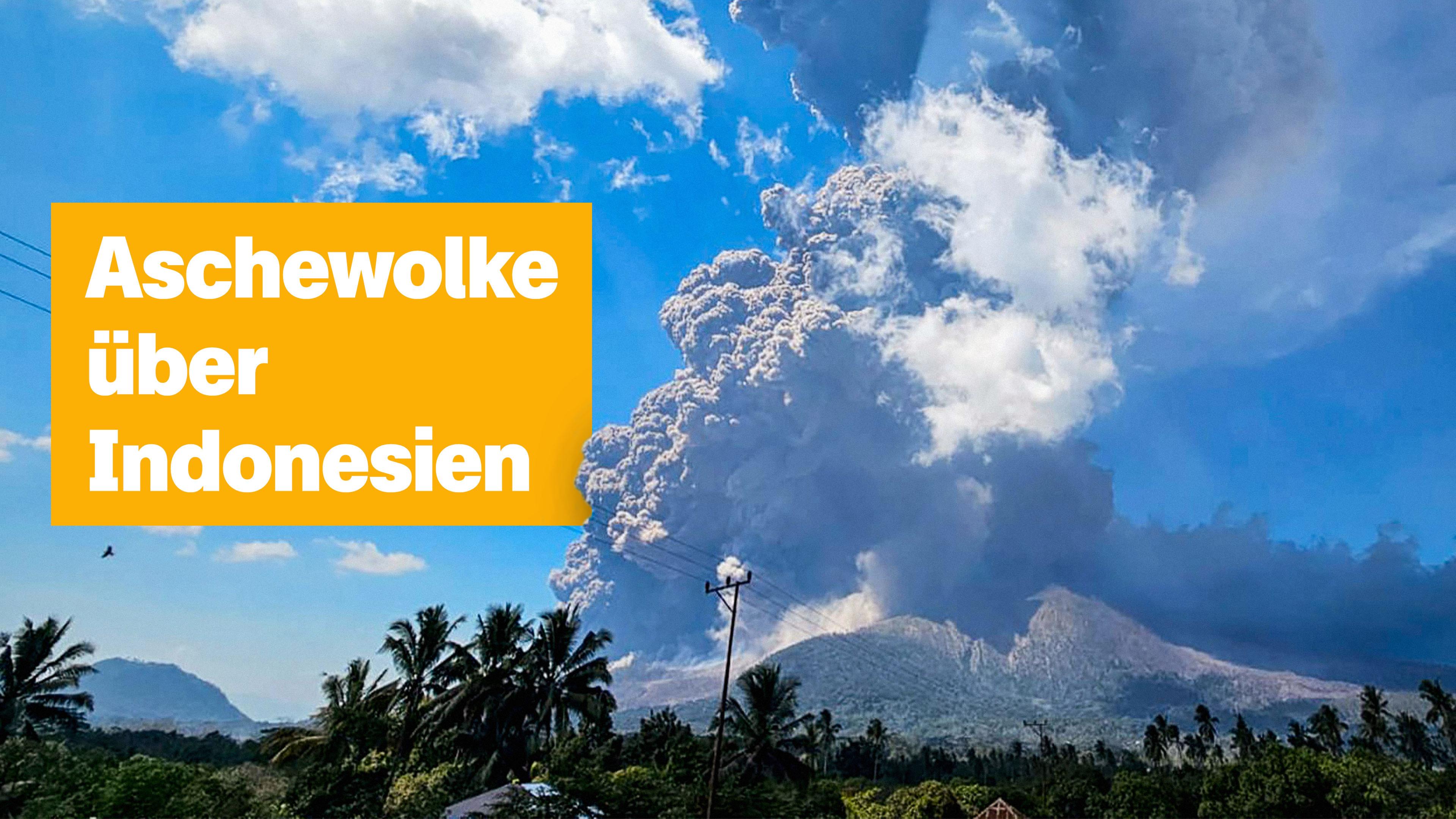 Hinter einer Reihe aus Palmen sieht man eine sehr große Rauchwolke über einem Berg aufsteigen. Links der Text: "Aschewolke über Indonesien"