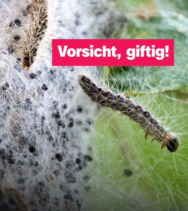 Sendung 23. Mai
