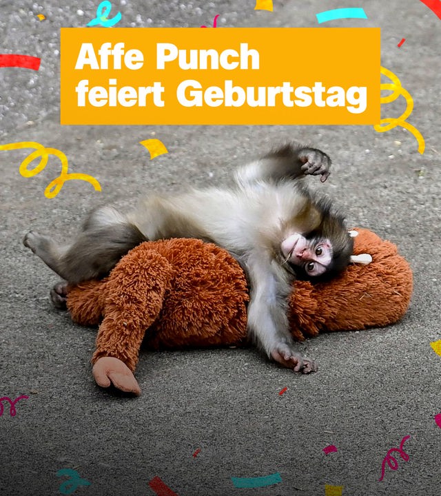 Sendung vom 25. Juli 2026