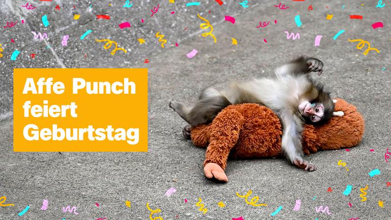 Sendung vom 25. Juli 2026