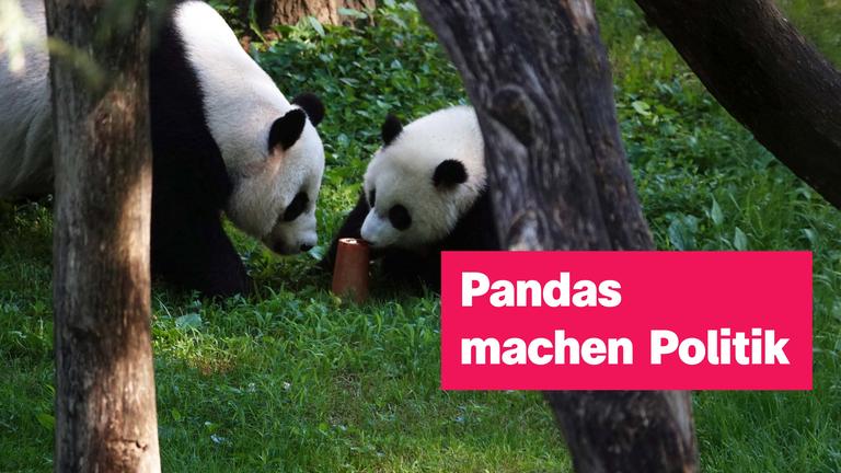Sendung vom 27. September 2026