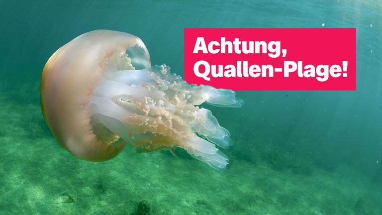Sendung 30. April