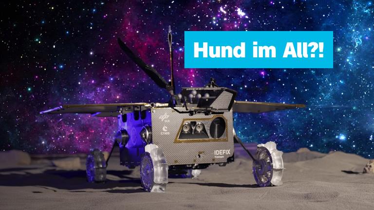 Sendungsteaser vom 20. Oktober 2026