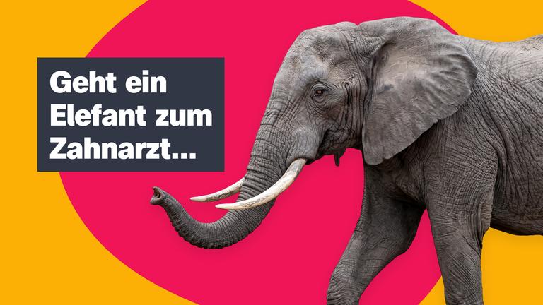 Sendungsteaser vom 16. Oktober 2026