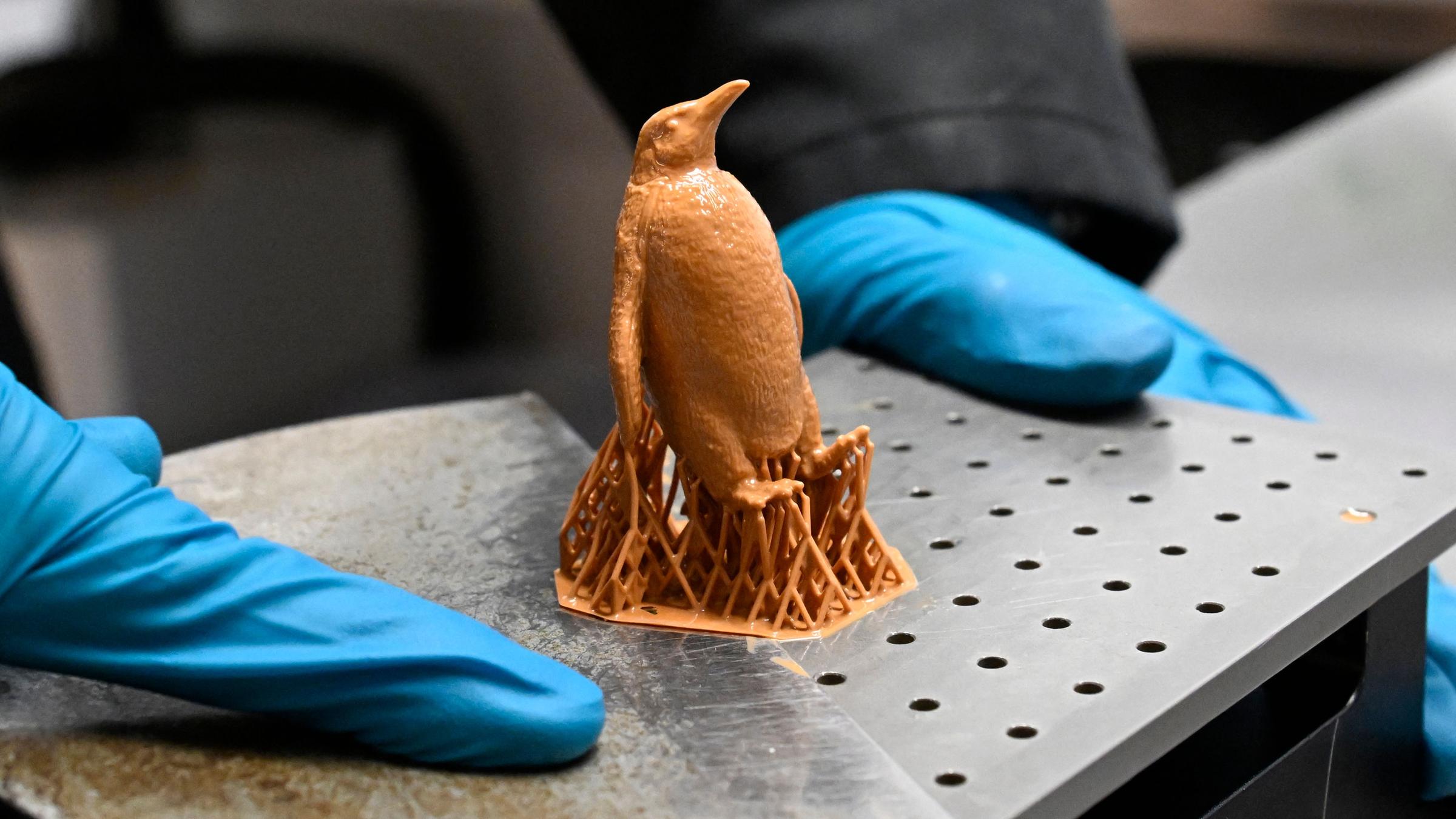 Ein Spielzeugpinguin steht auf einer silbernen Platte und zwei Hände in blauen Handschuhen