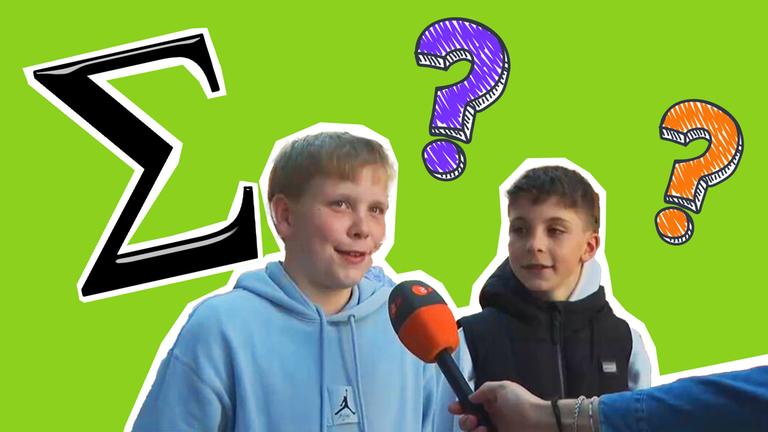 Sigma Grafik Umfrage