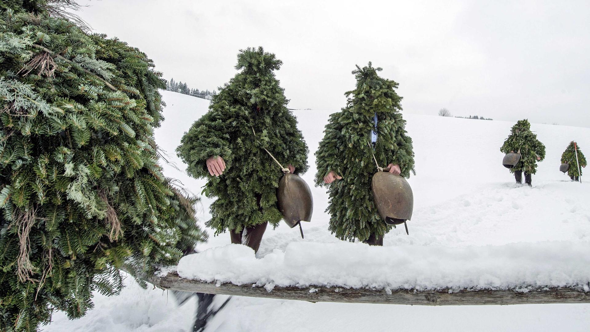 Silvesterkläuse Schweiz
