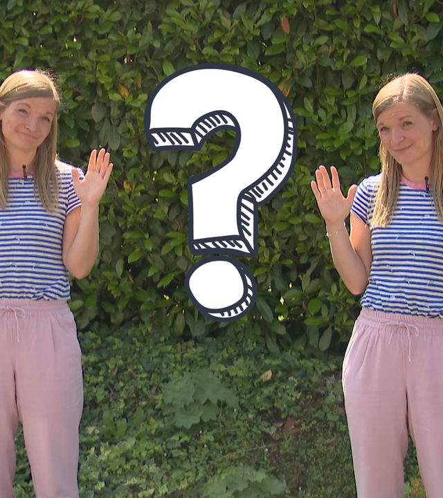 Reporterin Simone steht jeweils links und rechts im Bild und hebt jeweils linke und rechte Hand, dazwischen ein Fragezeichen