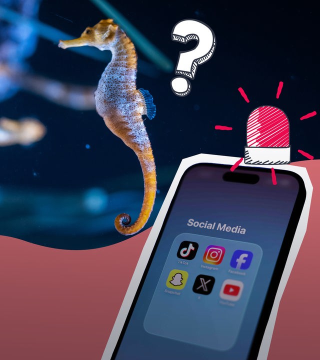 Grafik: Social-Media-Verbot, KI-Seepferdchen 