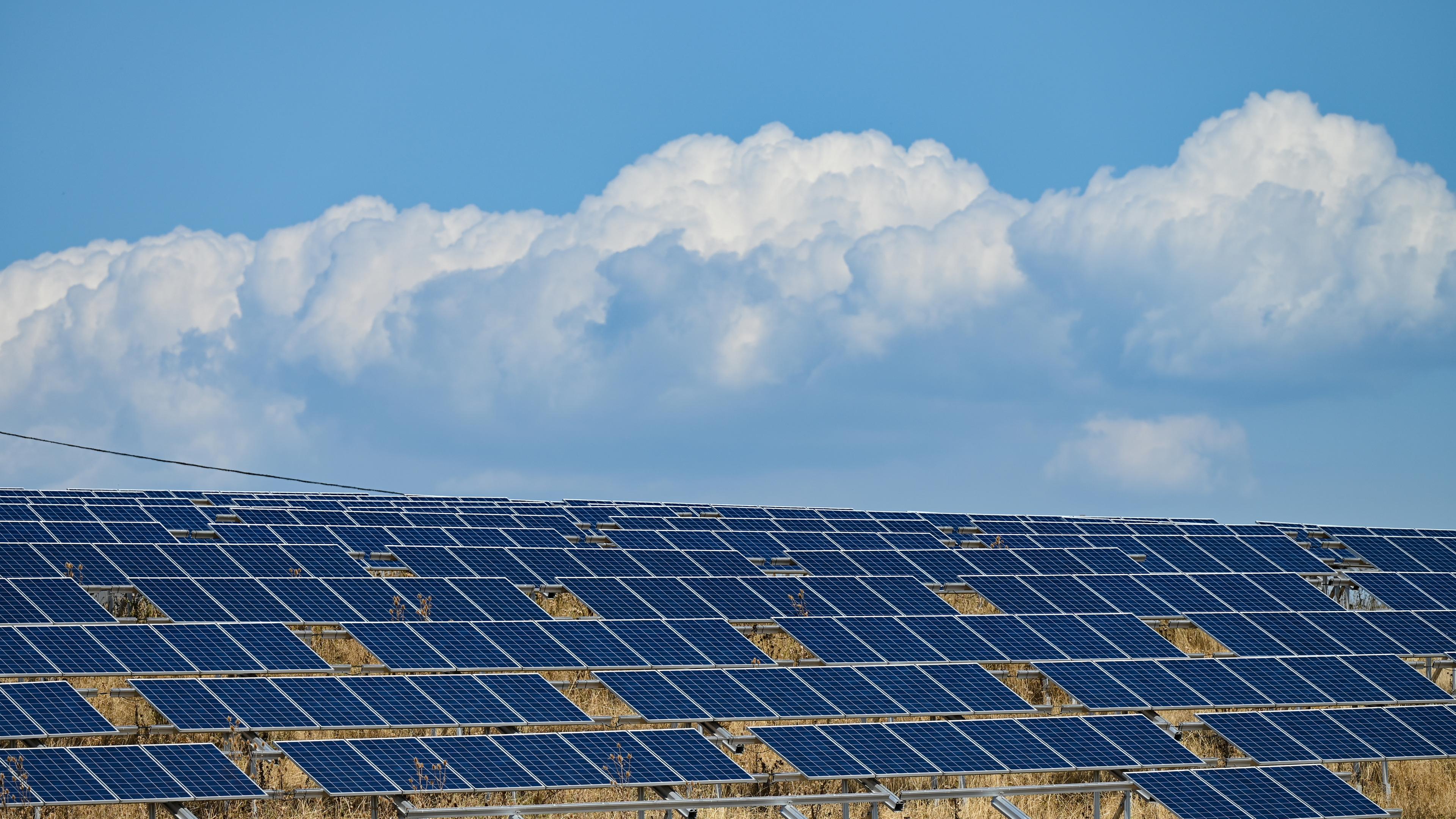 Solarmodule einer Photovoltaikanlage stehen auf dem Gelände der Mülldeponie Flörsheim-Wicker.