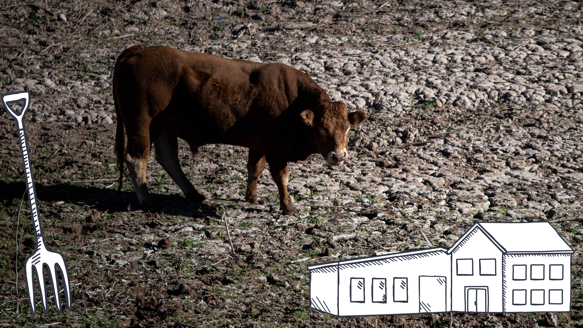 Denn hier soll 80 Prozent Wasser eingespart werden! Wer zum Beispiel Kühe hält, muss seinen Wasserverbrauch halbieren. Wer sich nicht daran hält, muss Geldstrafen bezahlen. Denn …