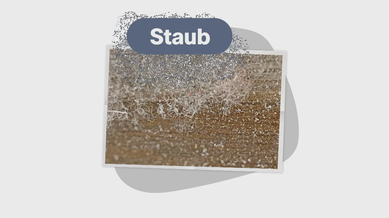 Bild für Woher kommt eigentlich Staub?? 