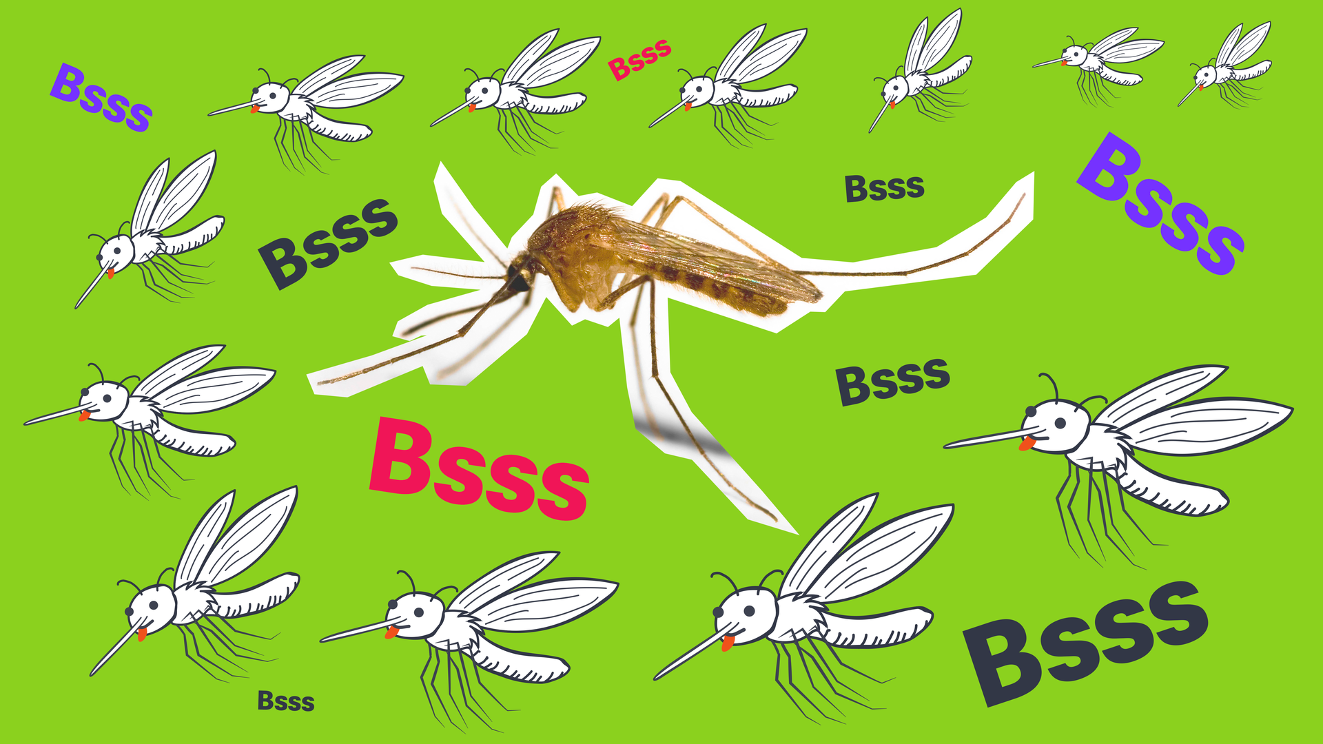 Viele Stechmücken-Grafiken, eine Cutout-Stechmücke, mehrere "Bsss"-Schriftzüge