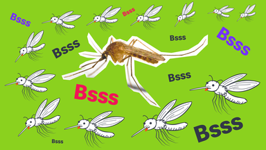 Viele Stechmücken-Grafiken, eine Cutout-Stechmücke, mehrere "Bsss"-Schriftzüge