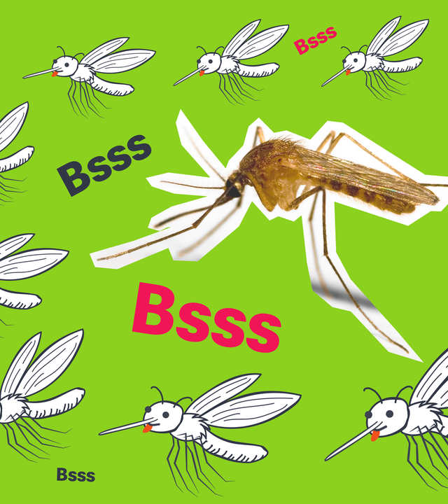 Viele Stechmücken-Grafiken, eine Cutout-Stechmücke, mehrere "Bsss"-Schriftzüge