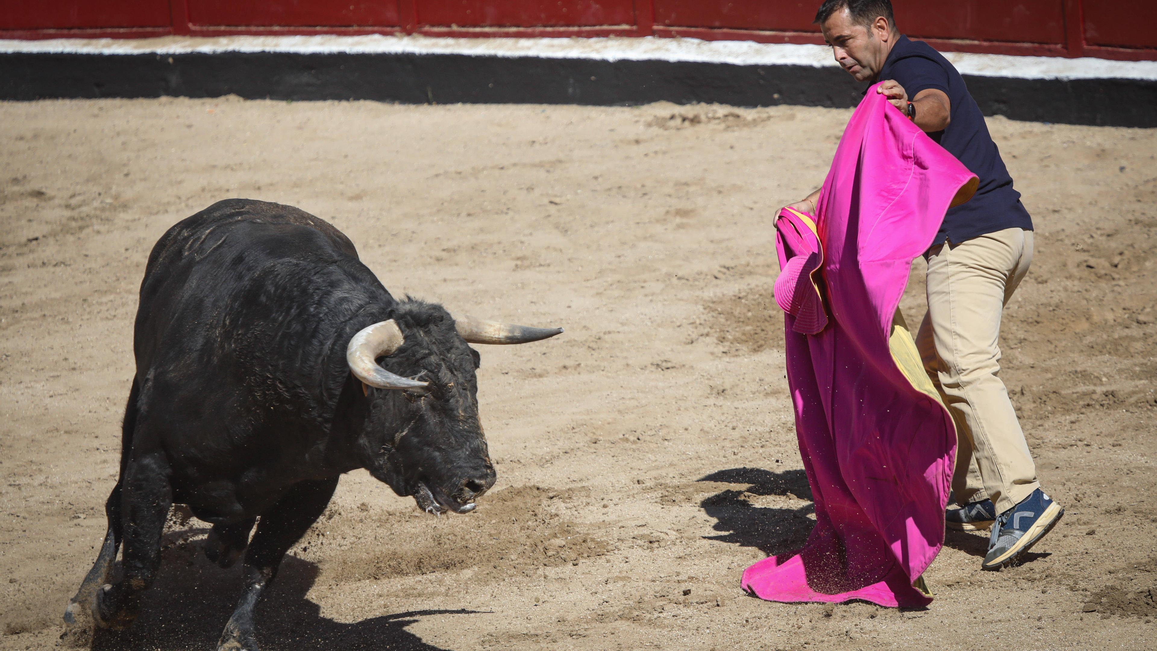 In einer Arena in spanien steht ein Torero und sticht einen Stier.