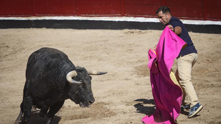 In einer Arena in spanien steht ein Torero und sticht einen Stier.