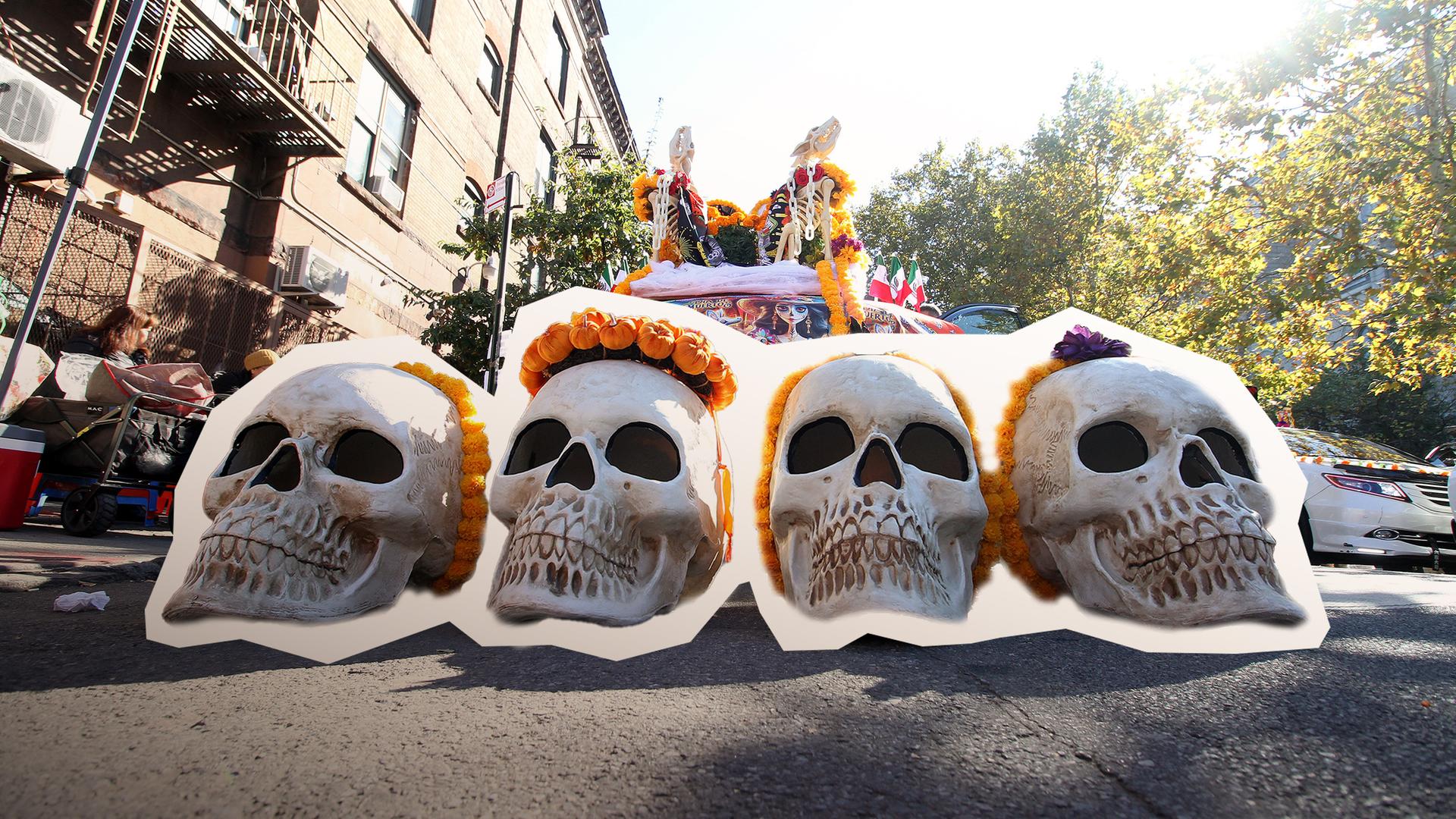 Auf dem Bild sind vier riesige Totenköpfe zu erkennen. Sie liegen vor einem Umzugswagen und haben orangefarbene Blumenkränze auf dem Schädel.