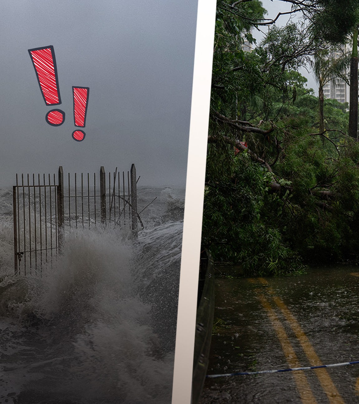 Ausmaße des Super-Taifuns Ragasa in Hongkong: Extremer Wellengang und umgefallene Bäume