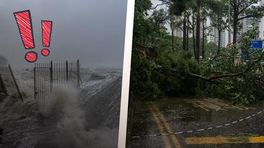Ausmaße des Super-Taifuns Ragasa in Hongkong: Extremer Wellengang und umgefallene Bäume