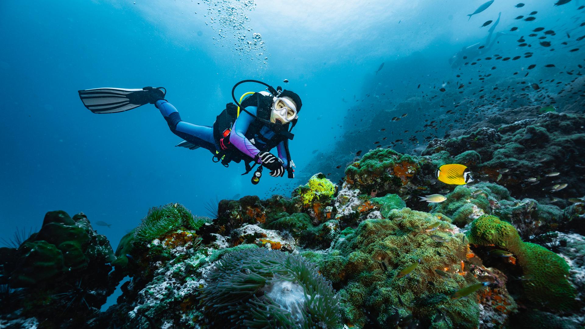Ein Taucher untersucht den Meeresgrund vor dem Golf von Thailand