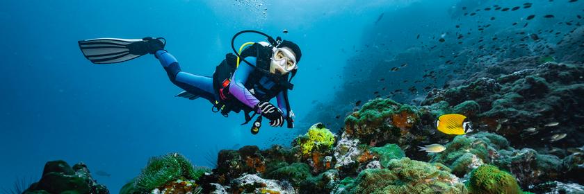 Ein Taucher untersucht den Meeresgrund vor dem Golf von Thailand