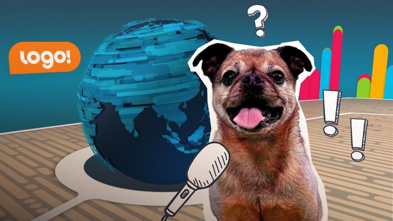 Ein fast normaler logo!-Tag