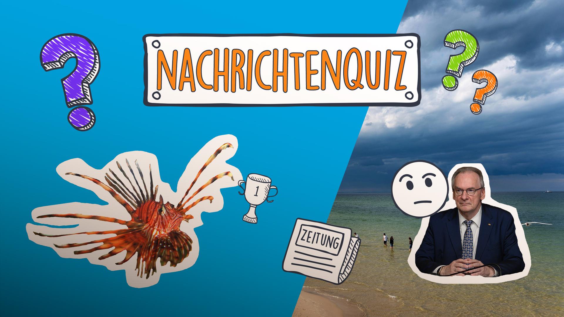 Collage halb blau, halb Usedomer Strand. Links Reiner Haseloff mit Emoji, links Feuerfisch, rechts am Rand eine Zeitung.