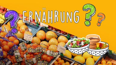 Eine Collage mit dem Titel ERNÄHRUNG. Im Hintergrund bunte Früchte. Unten Schüsseln mit Salat und Süßem.
