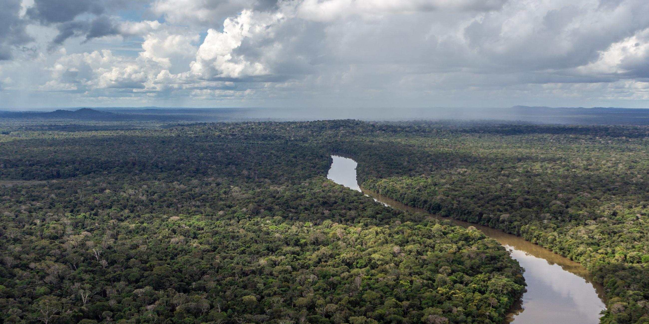 Blick auf einen Fluss im Amazonas.