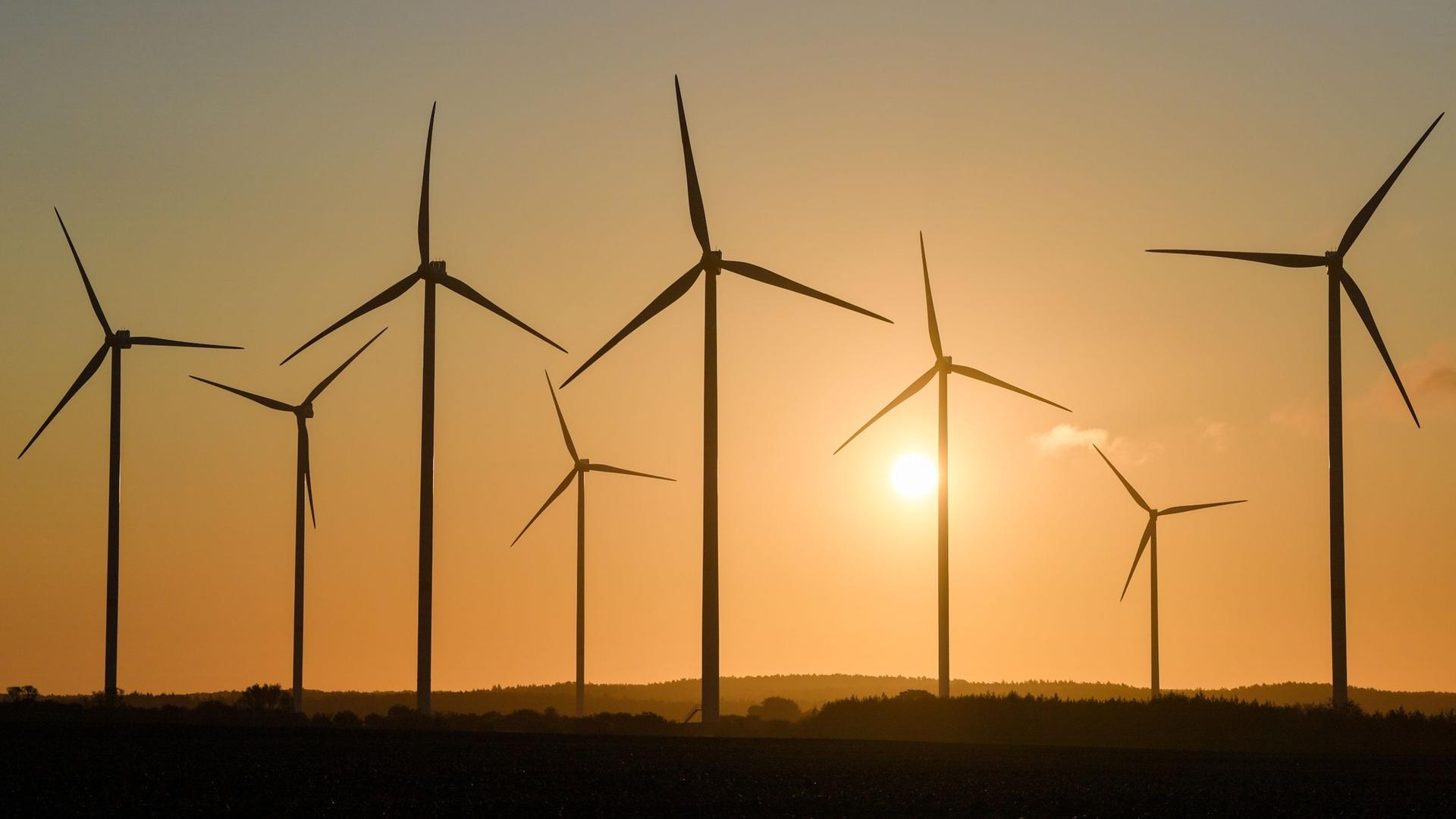 Das Klimaschutzgesetz kommt noch ins Klimakabinett. Archivbild