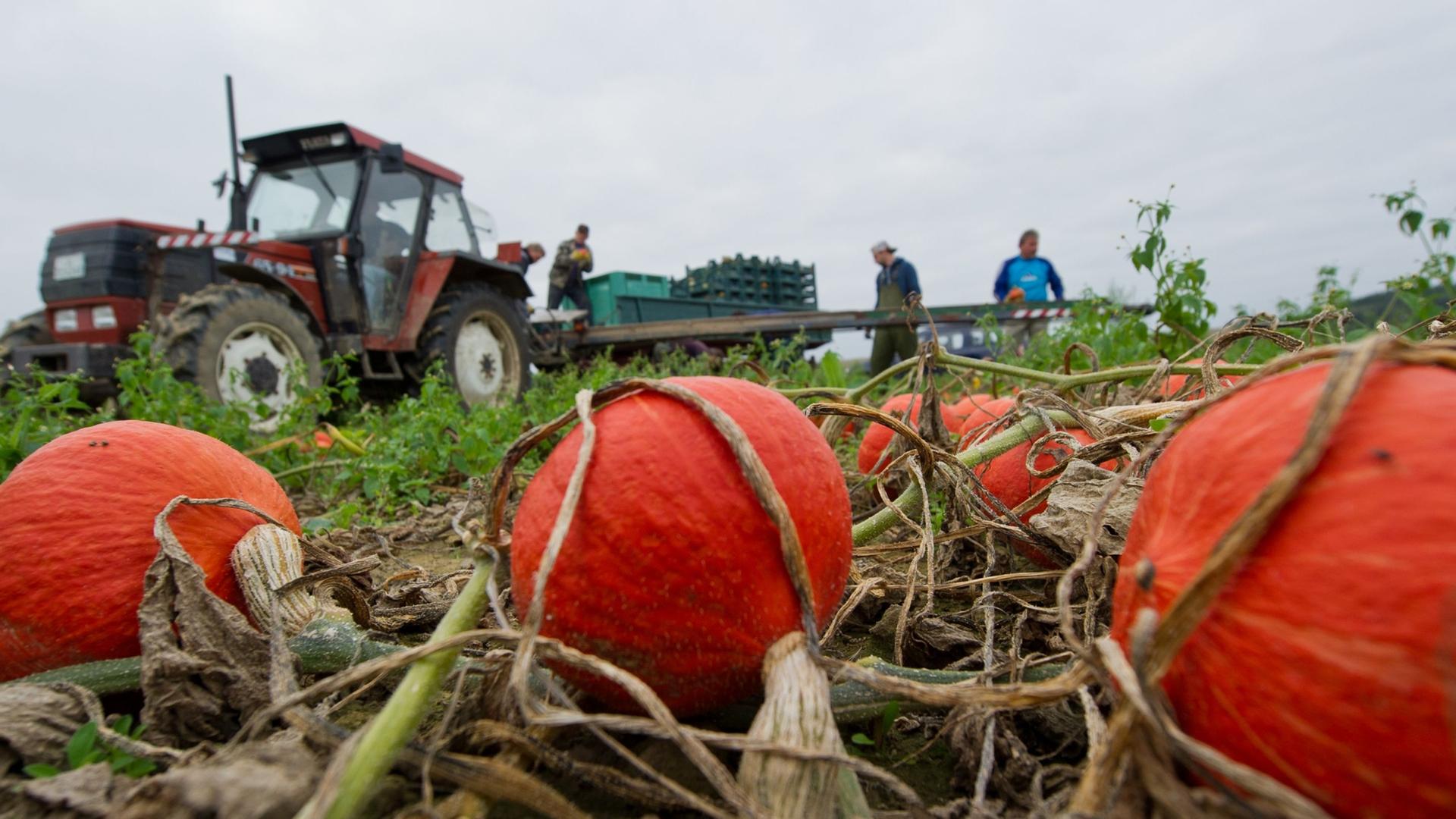 Der Mindestlohn wird in Deutschland angehoben. Archivbild