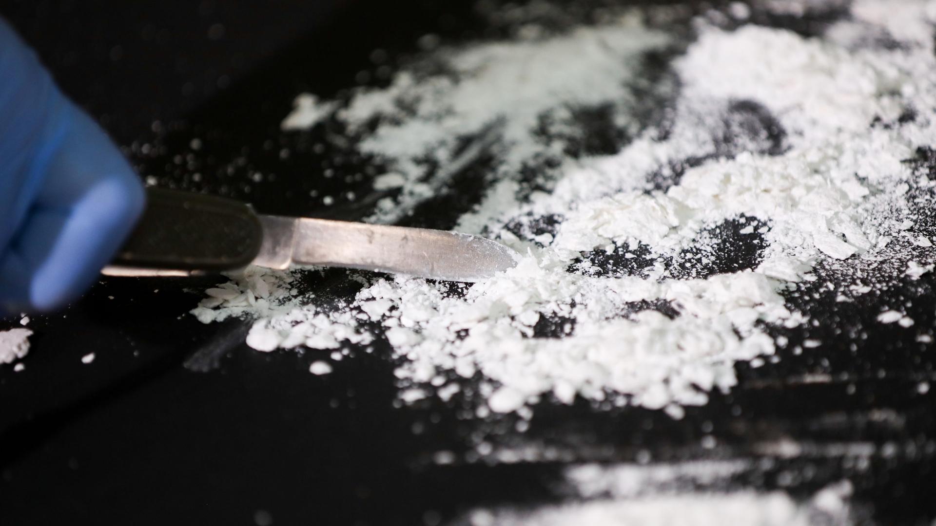 Kokain aus einem großen Kokainfund. Symbolbild