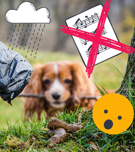 Mann greift mit einem Hundekotbeutel nach einem Hundehaufen.