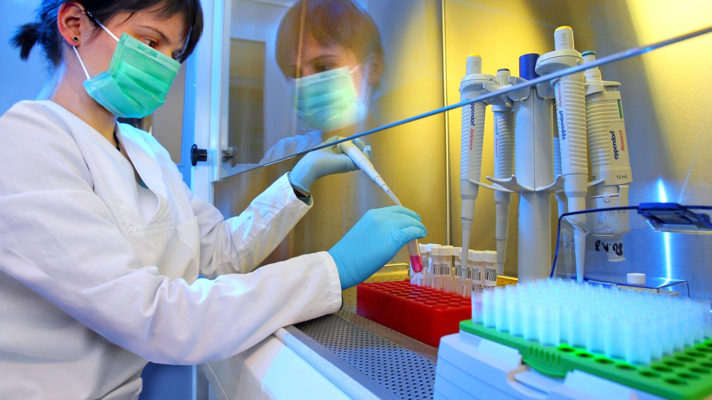 Untersuchung von Proben in einem Labor. Symbolbild