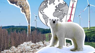 Landschaft mit Windrädern, Eisbär und Thermometer