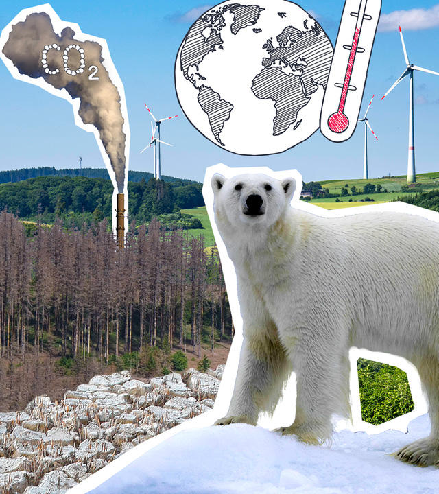 Landschaft mit Windrädern, Eisbär und Thermometer