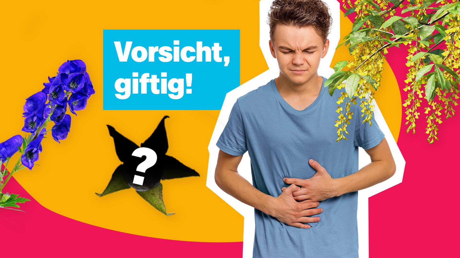 Hintergrundbild