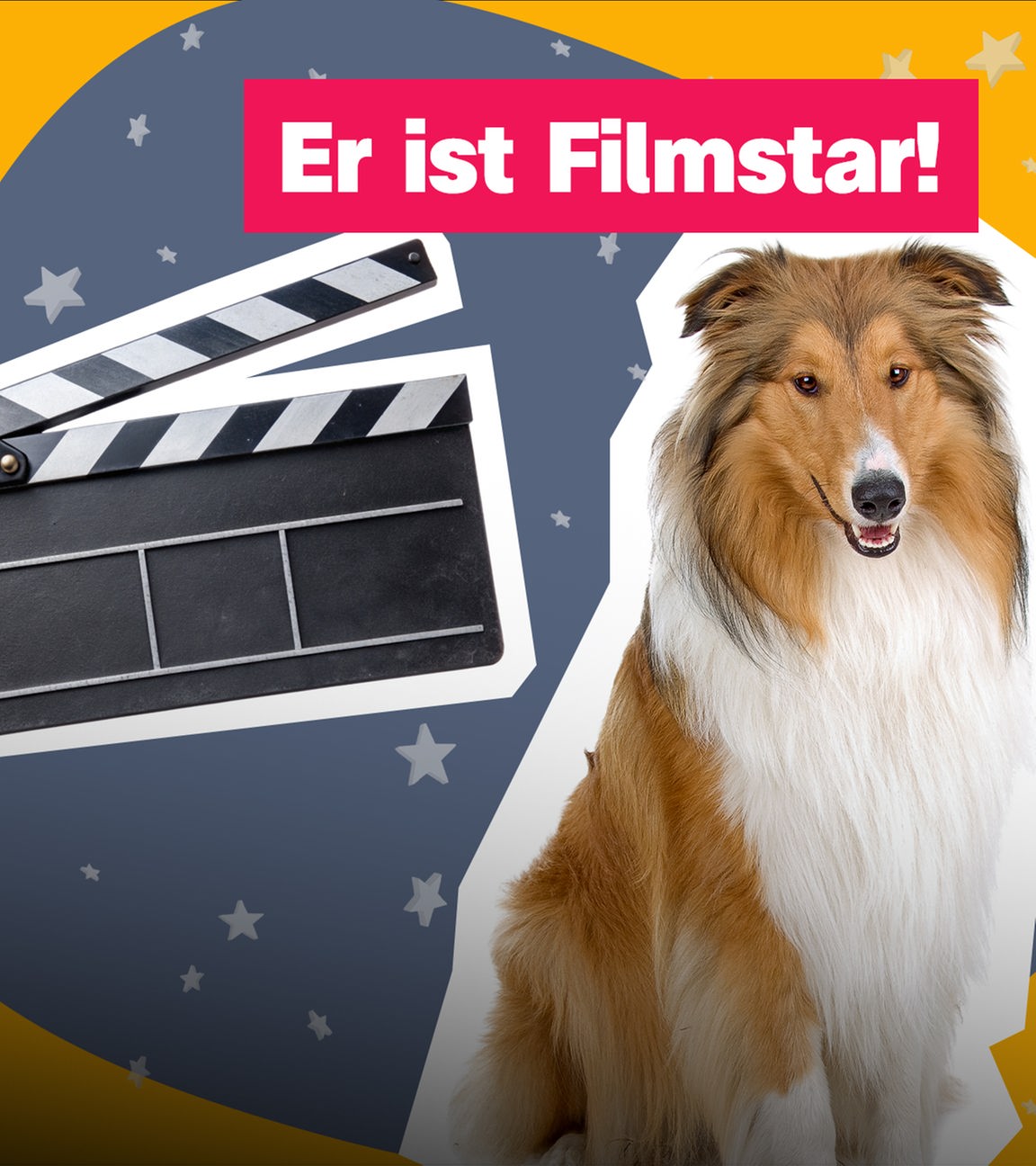 Filmhund Lassie und eine Filmklappe