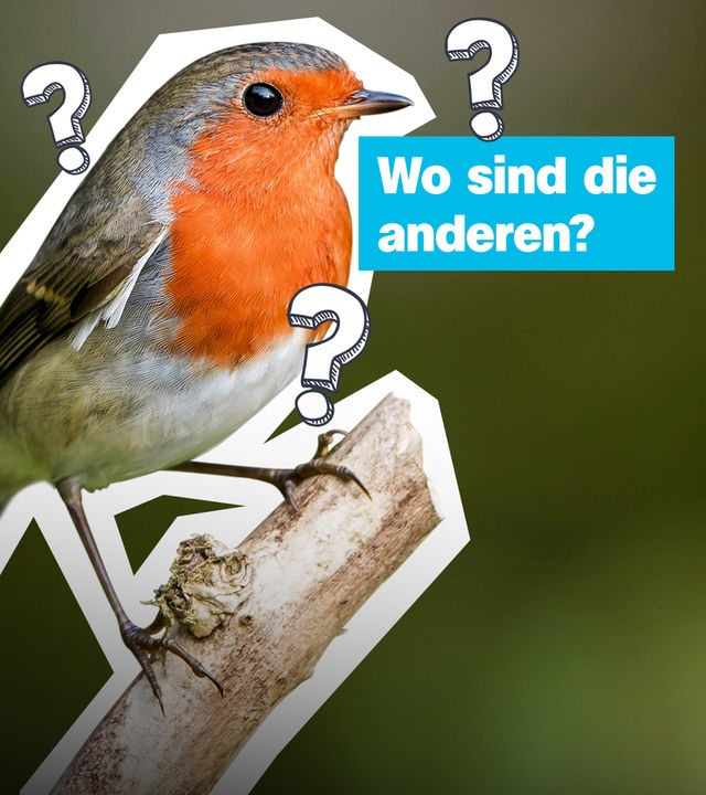 Thumbnail 26.5.