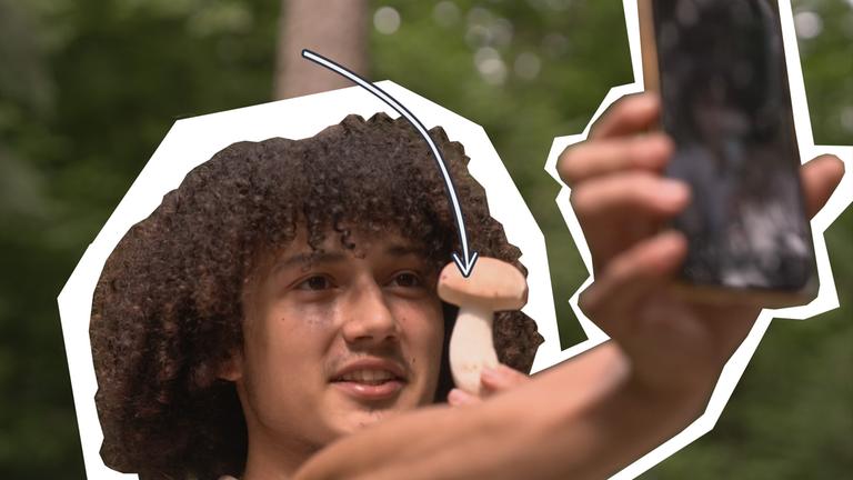 Ein junger Mann fotografiert etwas mit dem Handy im Wald.