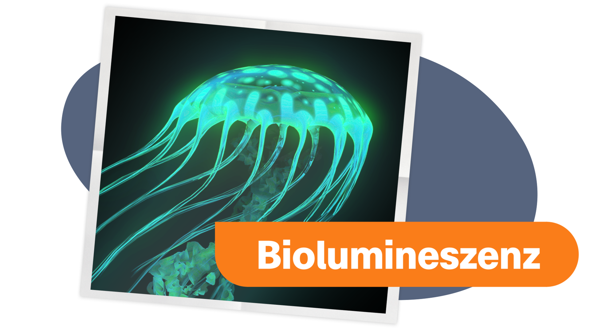 Leuchtende Tiere in der Tiefsee