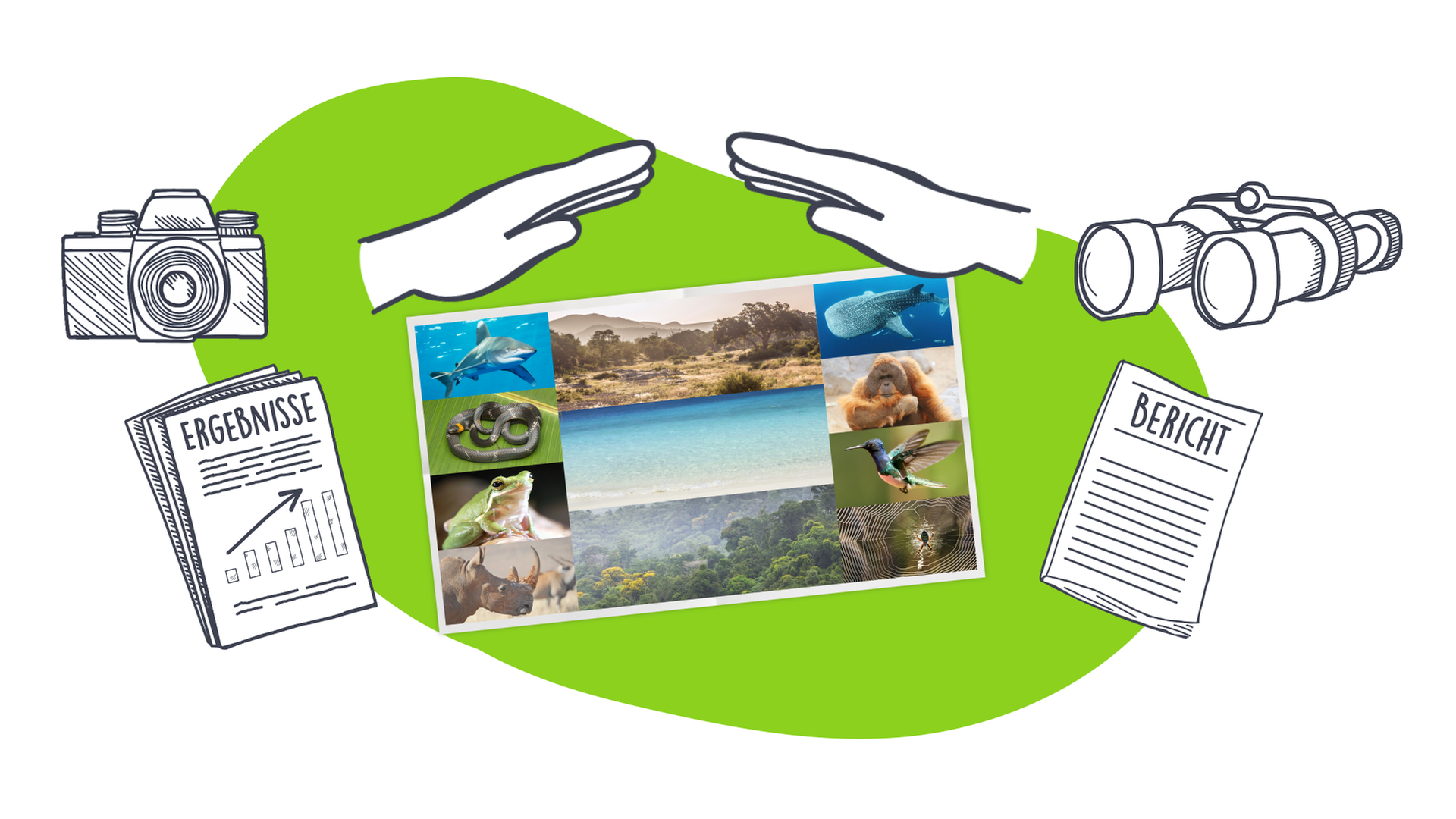 Grafik: Tierarten in Mitten, daneben Fotoapparat, Zettel mit Notizen, Fernglas, darüber schützende Hände