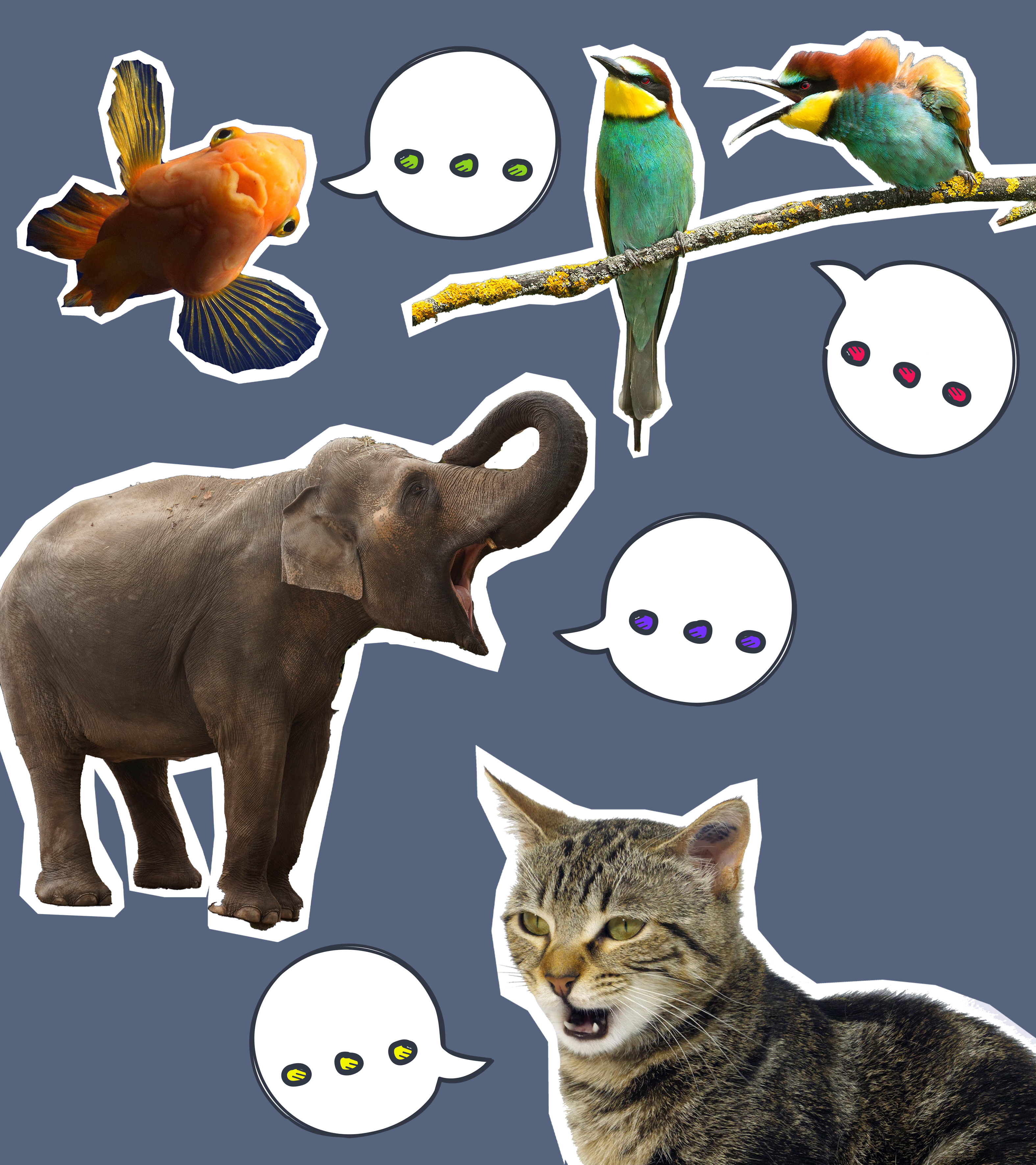 Elefant, Vögel, Katze und ein Buntbarsch sprechen miteinander