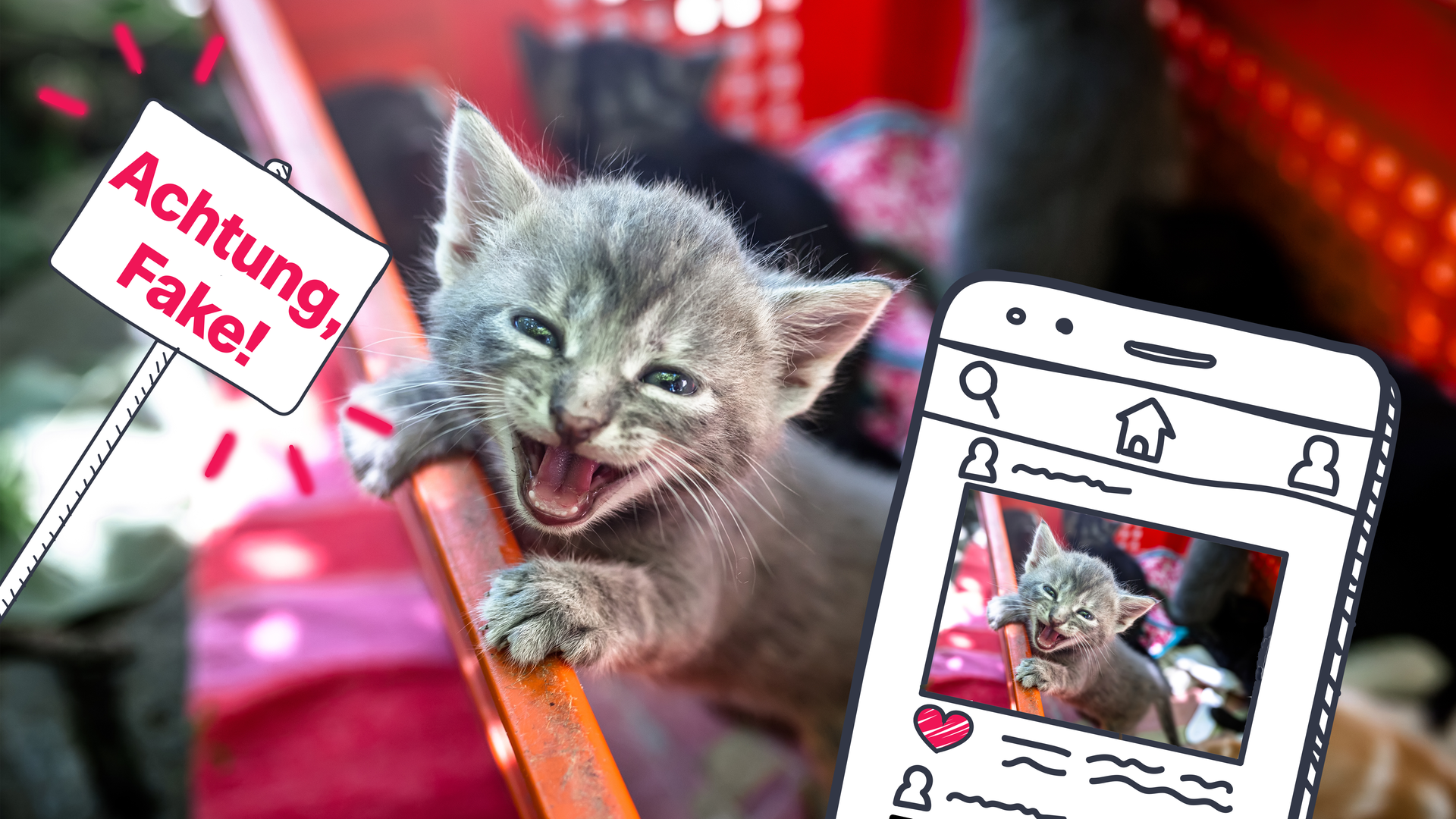 Gerettes Katzenbaby, Grafik von Handy mit Katzenbaby auf Social Media und einem Schild mit "Achtung, Fake!".