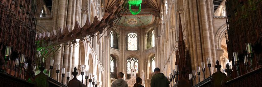 Ein maßstabsgetreuer Abguss von Patagotitan mayorum, dem vollständigsten jemals entdeckten Riesendinosaurier, ist in der Kathedrale von Peterborough ausgestellt, eine Leihgabe des Natural History Museum.