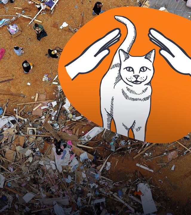 Zerstörung durch Tornados; Katzen-Doodle